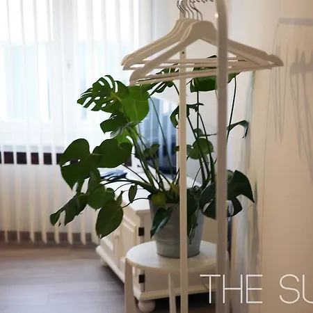 Make Up Garden 2*